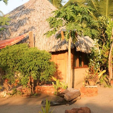פוטוביל Monsoon Eco Resort - Whisky Point Arugambay מראה חיצוני תמונה