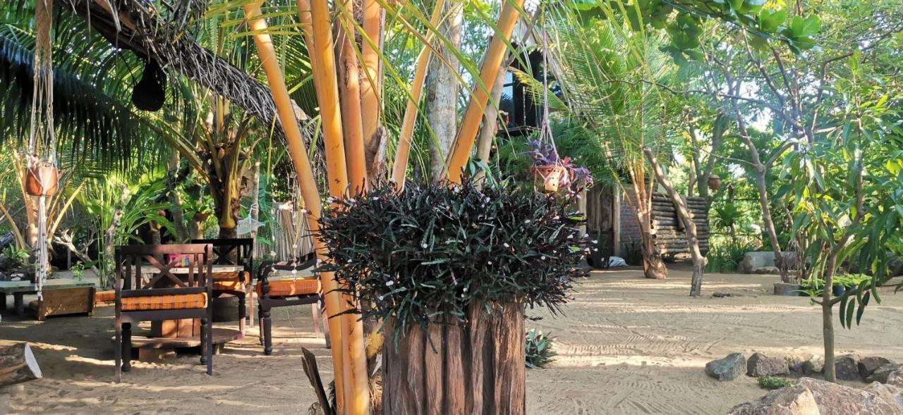 פוטוביל Monsoon Eco Resort - Whisky Point Arugambay מראה חיצוני תמונה