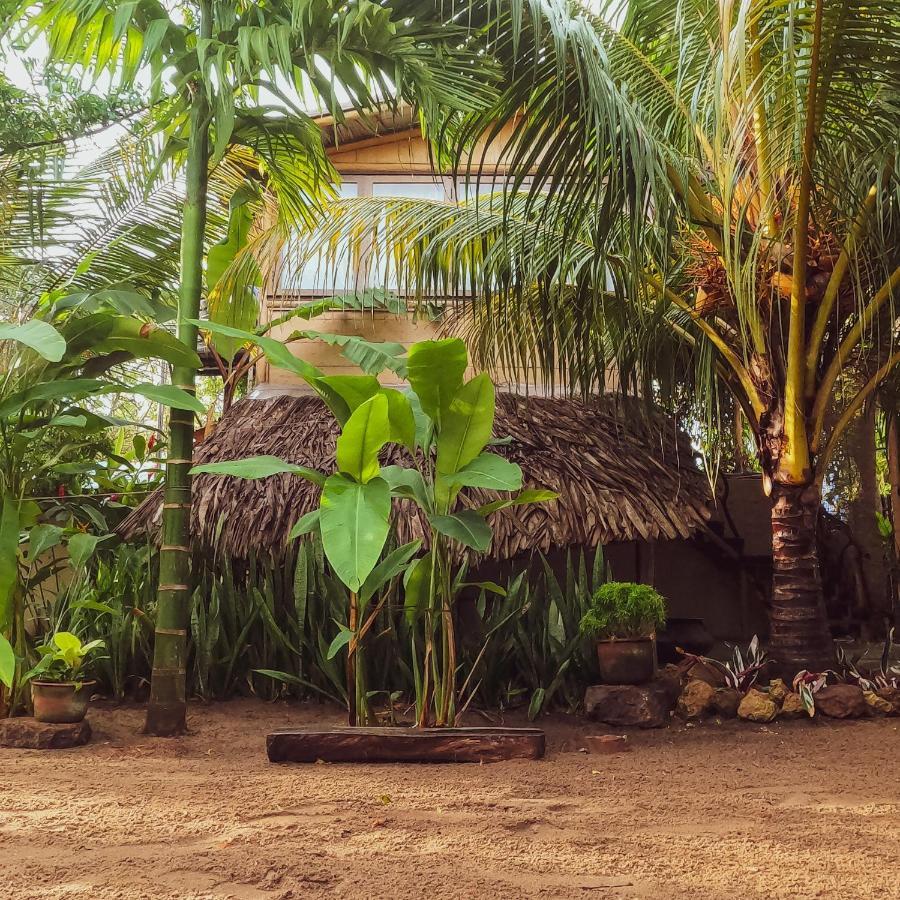פוטוביל Monsoon Eco Resort - Whisky Point Arugambay מראה חיצוני תמונה