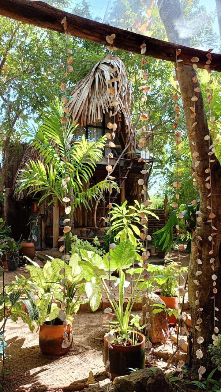 פוטוביל Monsoon Eco Resort - Whisky Point Arugambay מראה חיצוני תמונה