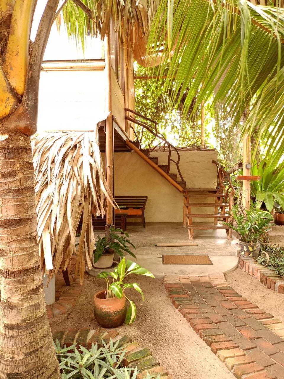 פוטוביל Monsoon Eco Resort - Whisky Point Arugambay מראה חיצוני תמונה