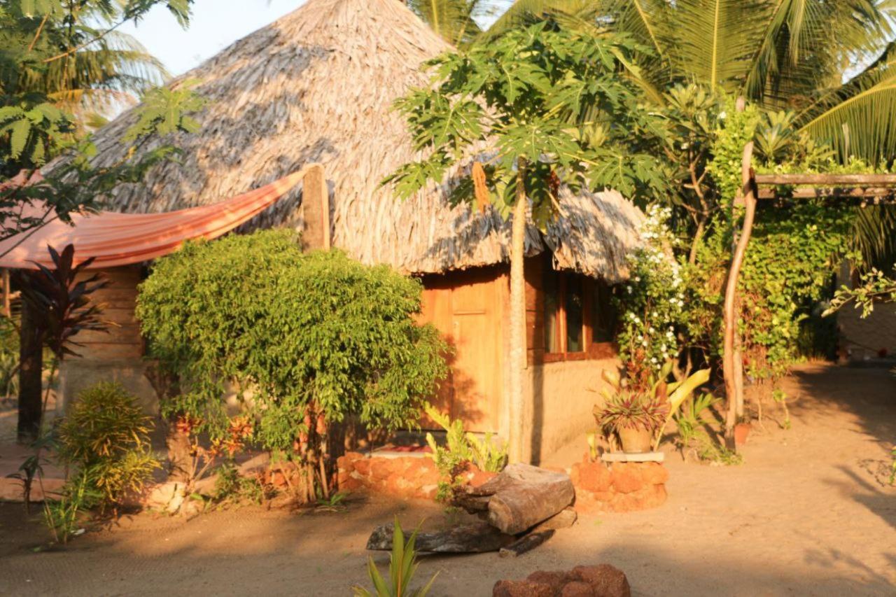 פוטוביל Monsoon Eco Resort - Whisky Point Arugambay מראה חיצוני תמונה