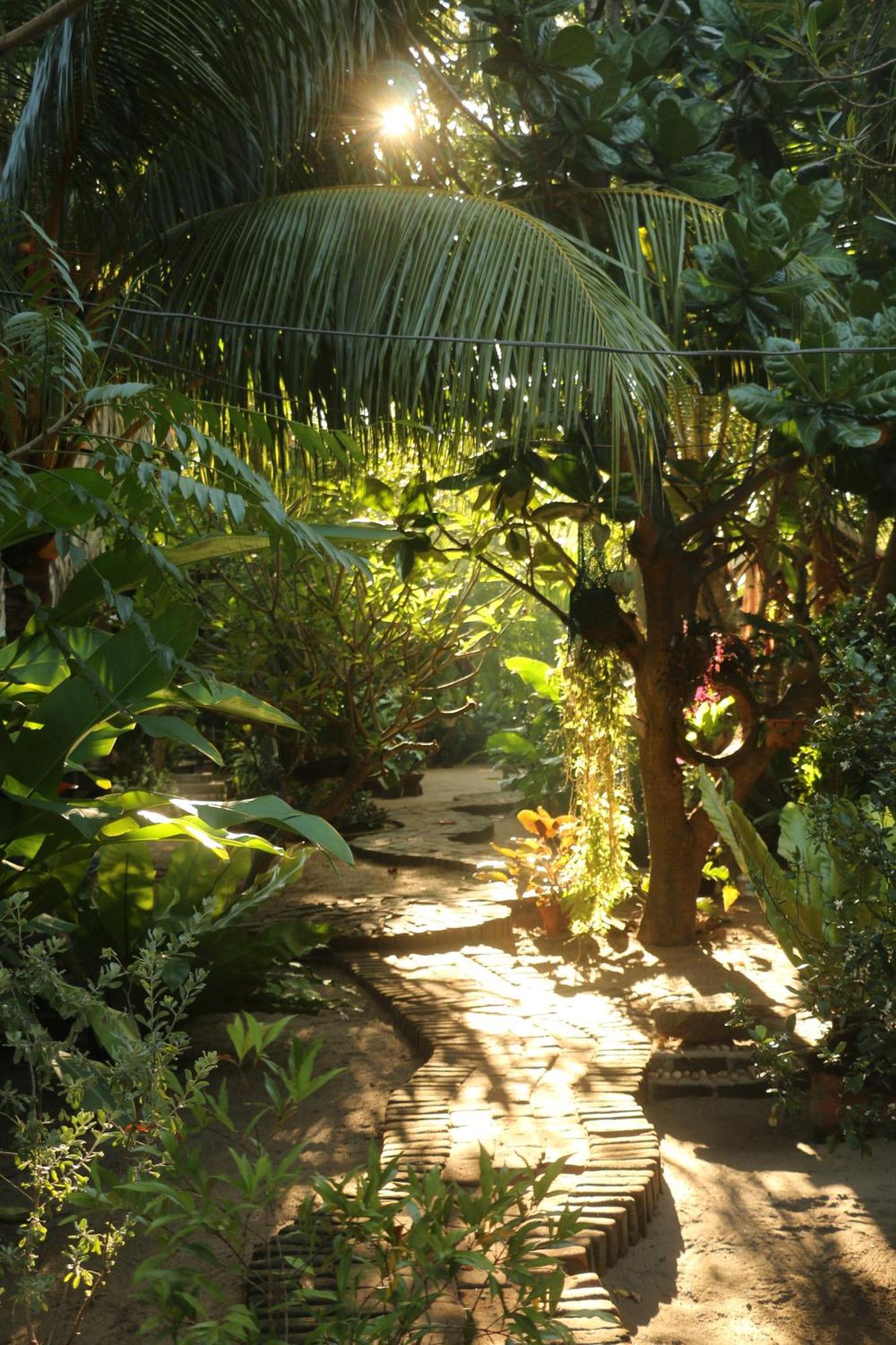 פוטוביל Monsoon Eco Resort - Whisky Point Arugambay מראה חיצוני תמונה