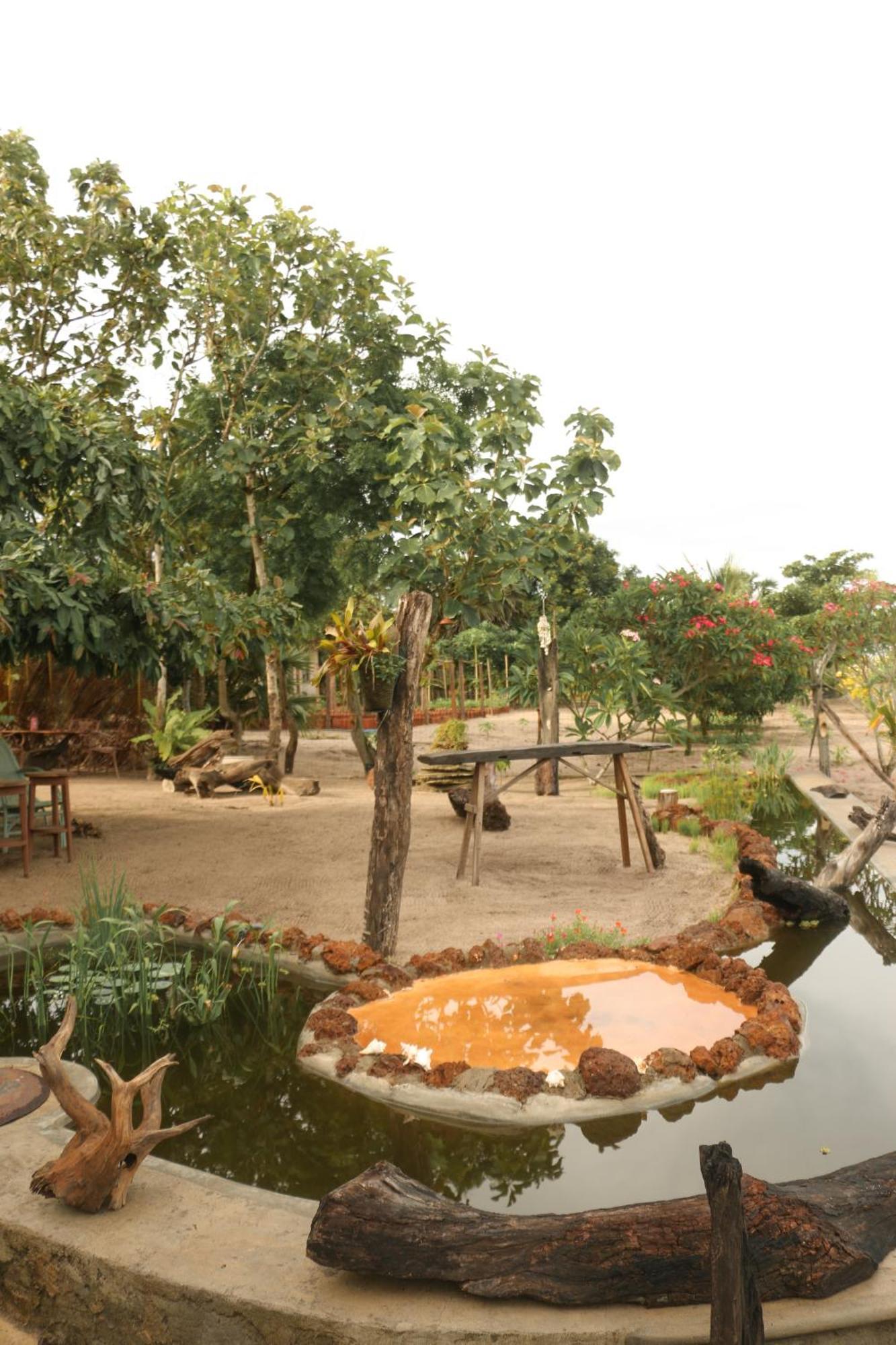 פוטוביל Monsoon Eco Resort - Whisky Point Arugambay מראה חיצוני תמונה